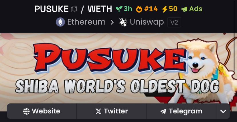 Pusuke tweet media