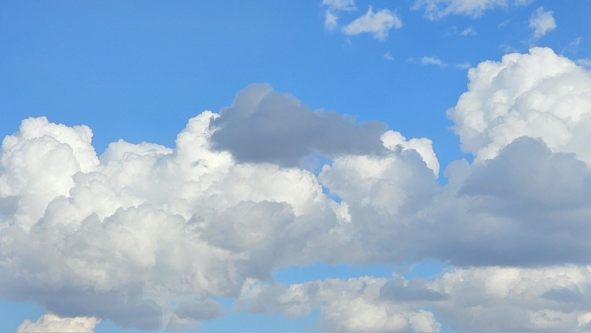 Chuck Webster MD, MS AI, MS Systems Engineering tweet media