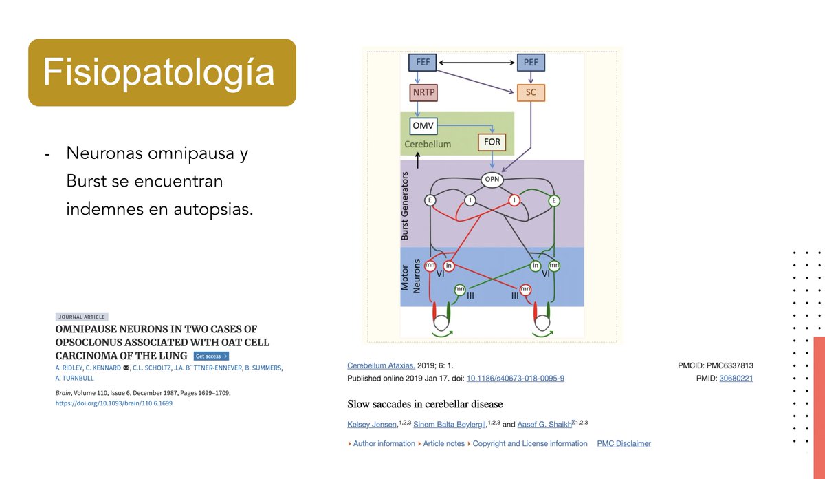 Dr.Fernandezcar tweet media