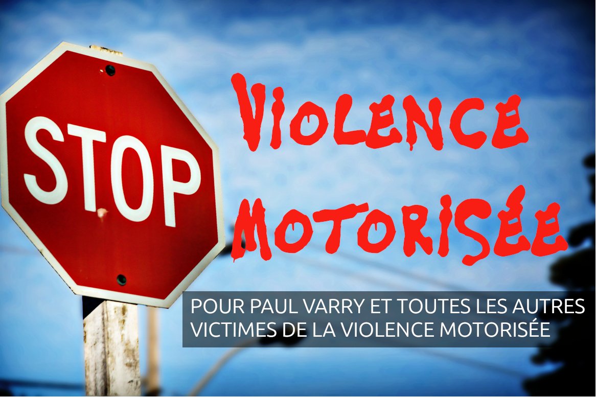 Vélorution Nantes tweet media