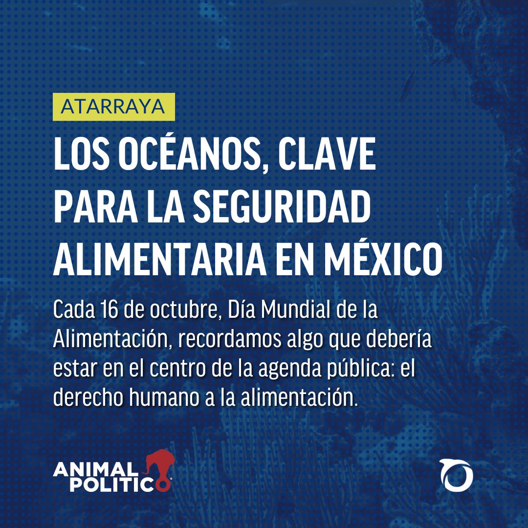 OceanaMexico's tweet photo. Durante años, la pesca ilegal, el deterioro de hábitats críticos y la falta de políticas públicas robustas han llevado a una crisis pesquera que amenaza la seguridad alimentaria de millones de personas. https://t.co/beWitz1vZT https://t.co/XQYxETcrTP
