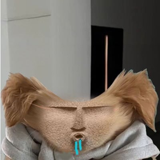 Memescobar tweet media