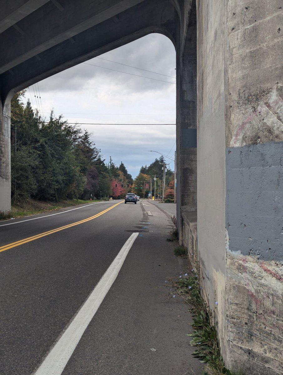 adamPDOTcom's tweet photo. Leave it to @PBOTinfo to harden a bike lane with a concrete curb and somehow make it worse by putting the curb inside the bike lane. 🤦‍♂️

#bikepdx #Portland https://t.co/qkBkU5wsij
