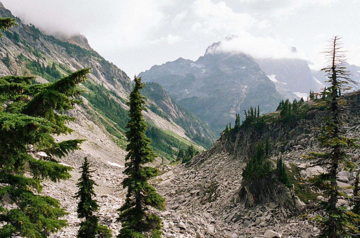 forestoutside's tweet image. A spot for it 🎞️