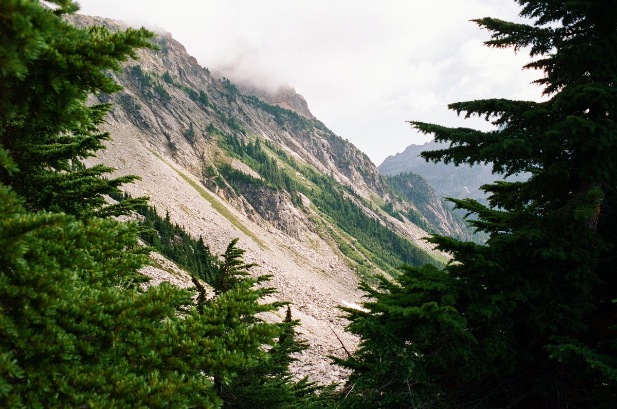 forestoutside's tweet image. A spot for it 🎞️