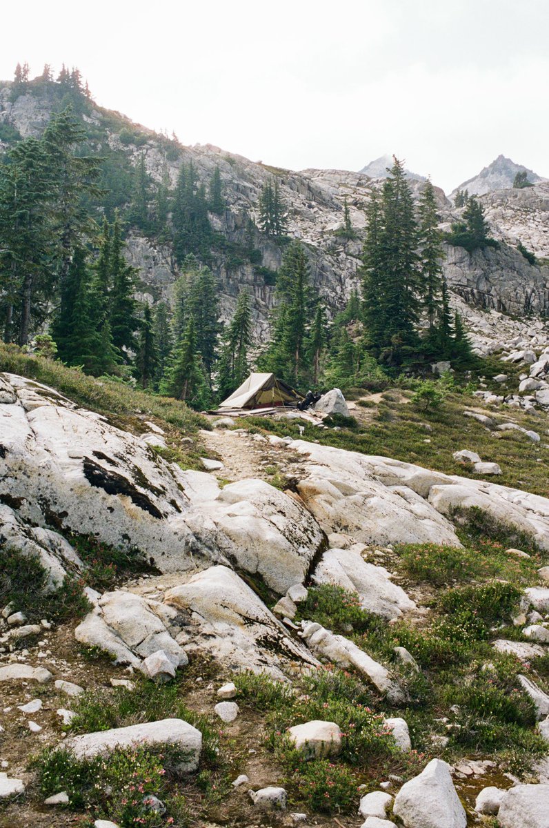 forestoutside's tweet image. A spot for it 🎞️