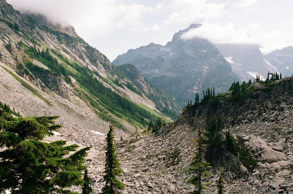 forestoutside's tweet image. A spot for it 🎞️