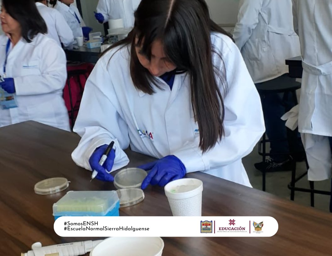 ENSH_SEPH's tweet photo. 🟨 Capacitación docente presencial en la Universidad Politécnica de Pachuca EDUCA entrega insumos para implementar ABE: Material complementario y videos | 09.OCT.2024

@juliomenchaca_ 
@natycastrejonv 
@DanielFragosoT 
#SomosENSH 
#EscuelaNormalSierraHidalguense https://t.co/odUSoA9XsJ