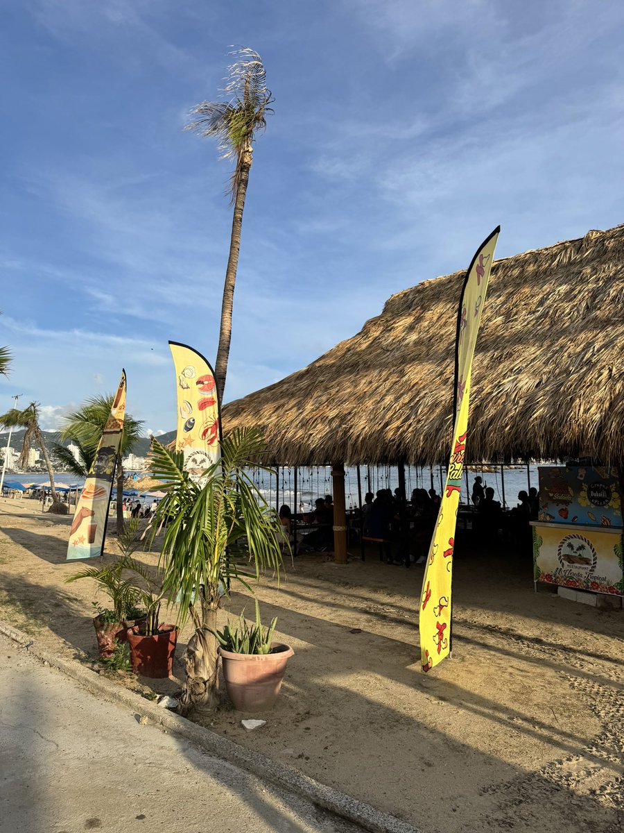 Mi Vereda Tropical tweet media