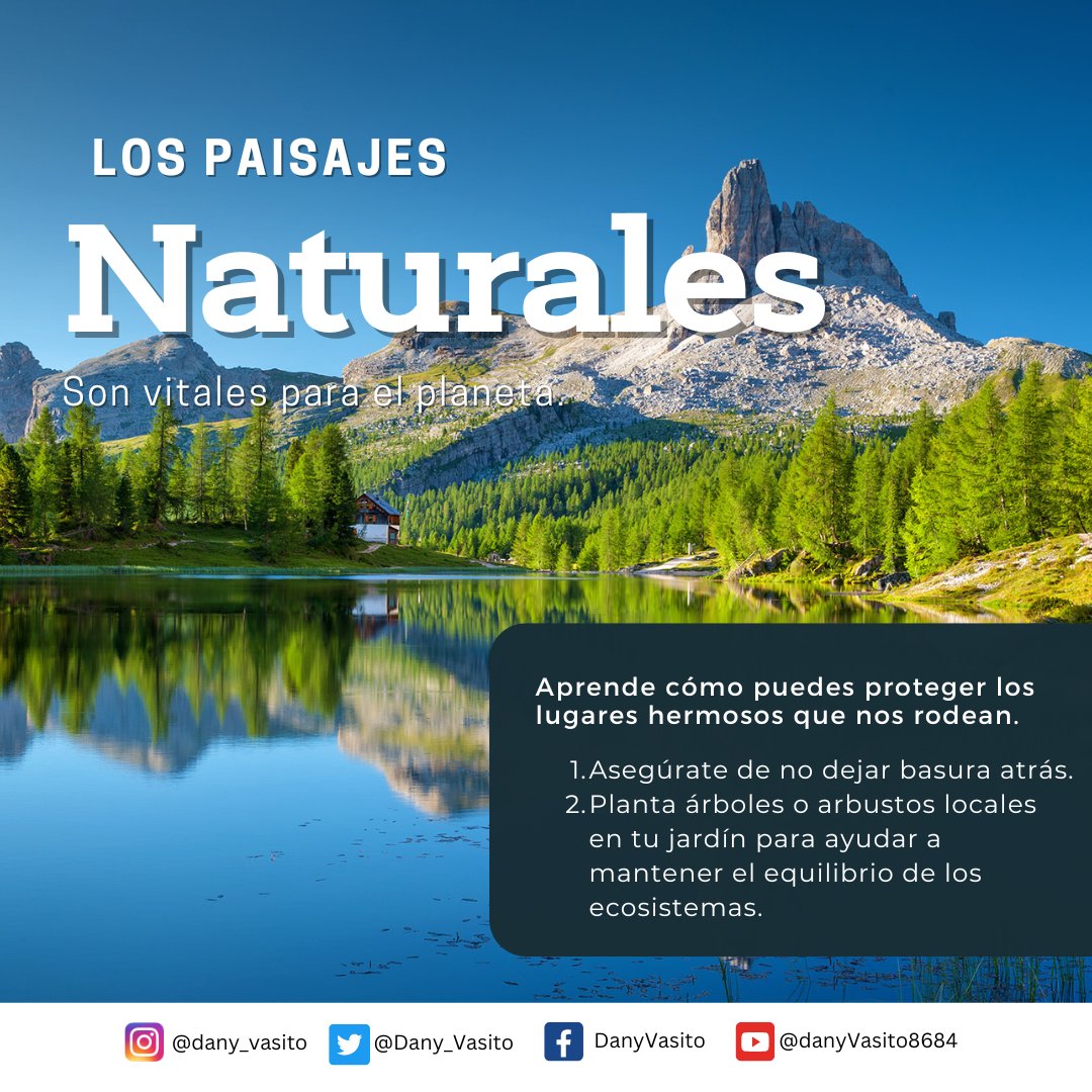 Dany_Vasito's tweet image. ¡Celebremos el Día Internacional del Paisaje con Dany Vasito! 🌳💚 ¡Valoremos y protejamos nuestros hermosos paisajes para las futuras generaciones! 🌍✨ #CuidaLosPaisajes #Biodiversidad #PlanetaVerde #DanyVasito #Octubre2024 🌿🌞