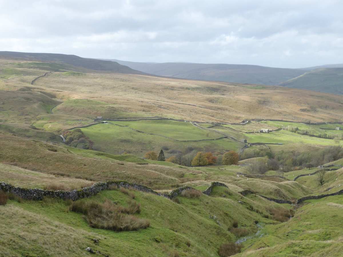 Descending into Swaledale on the last day of the <a href="/DalesBus/">DalesBus</a> summer season. Out <a href="/FirstWestYorks/">First West Yorks</a> 876 Seacroft-Hawes (loved the West Yorkshire Road Car-liveried bus). Back <a href="/arrivanortheast/">Arriva North East</a> 830 Richmond-Ribblehead.