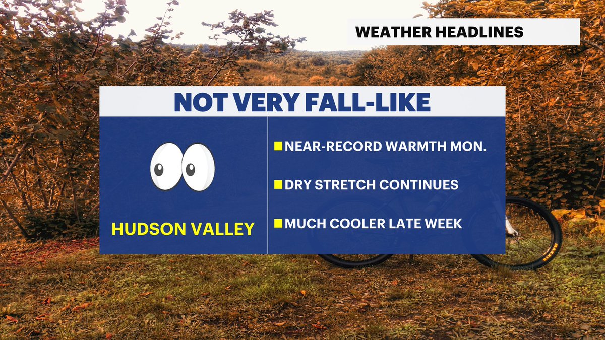 Julian Seawright tweet media