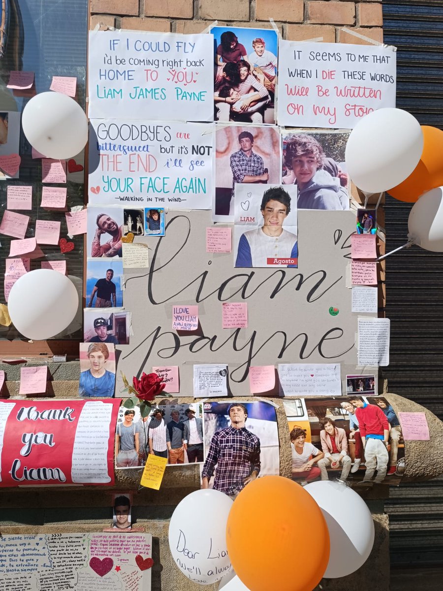 Liam Payne, I will mis you all my life,