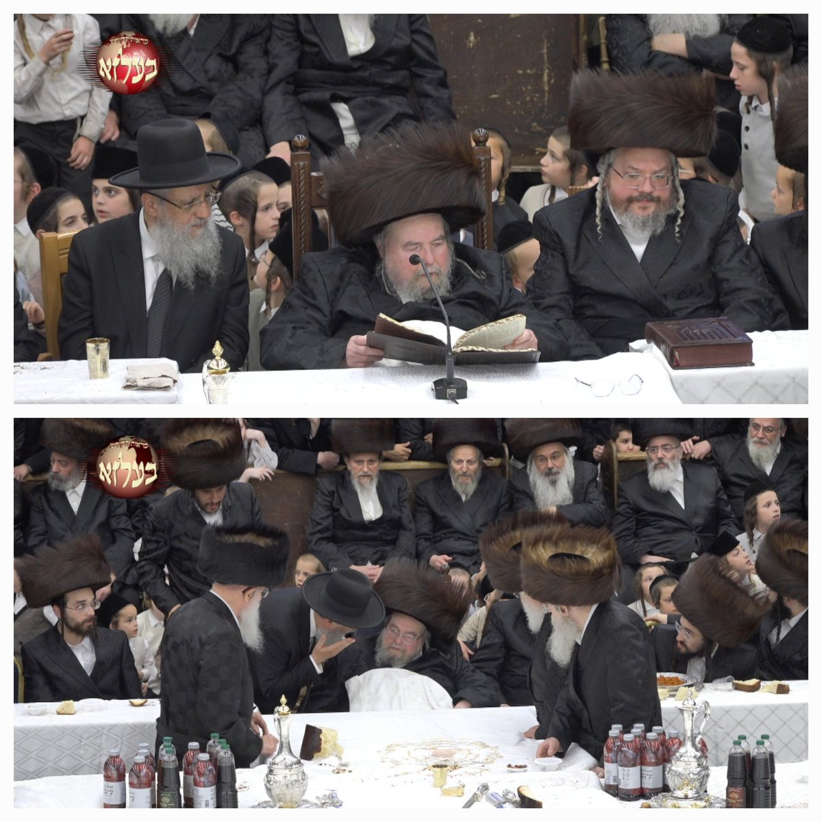 משה ויסברג tweet media