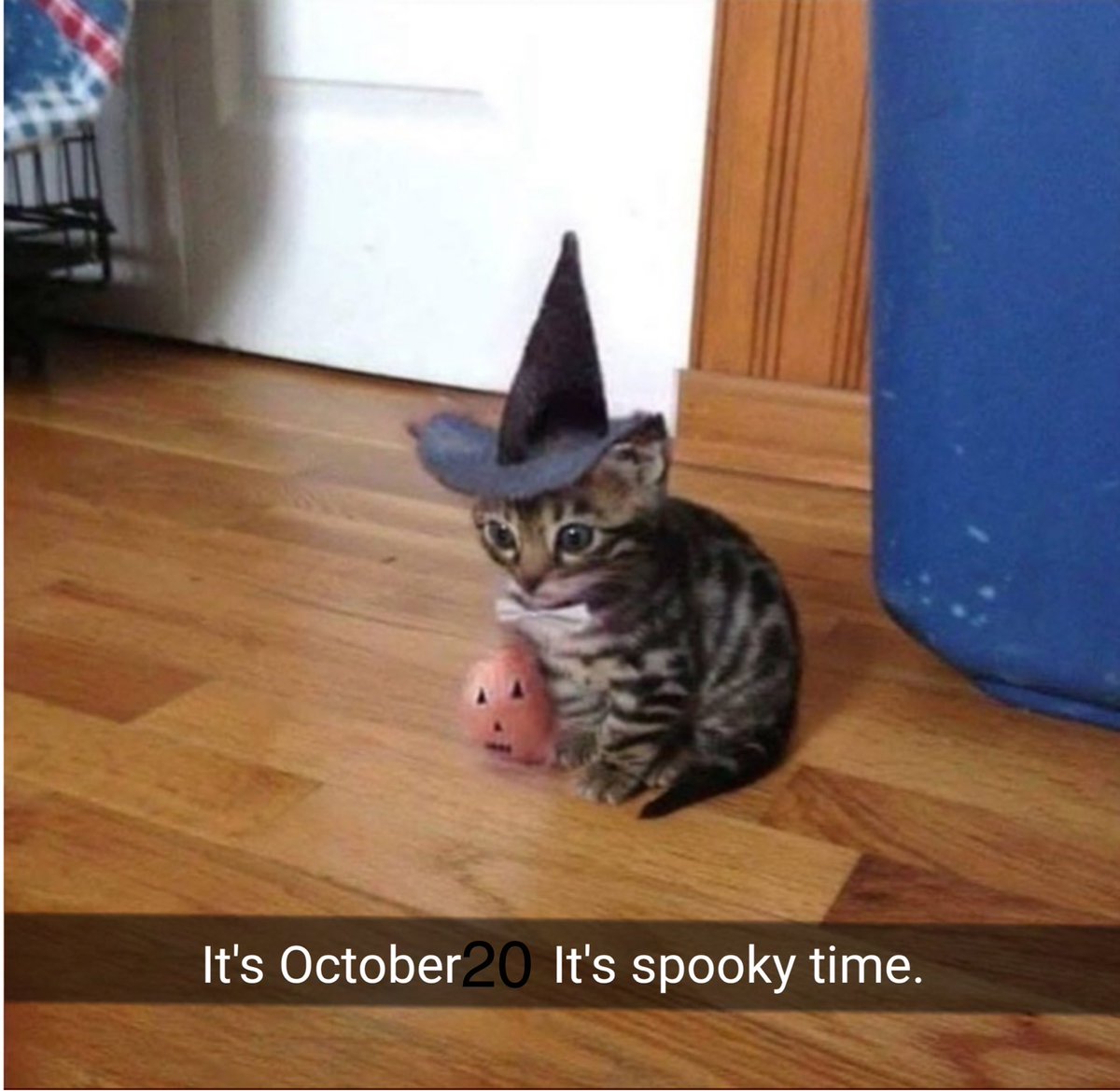 aguacado tweet media