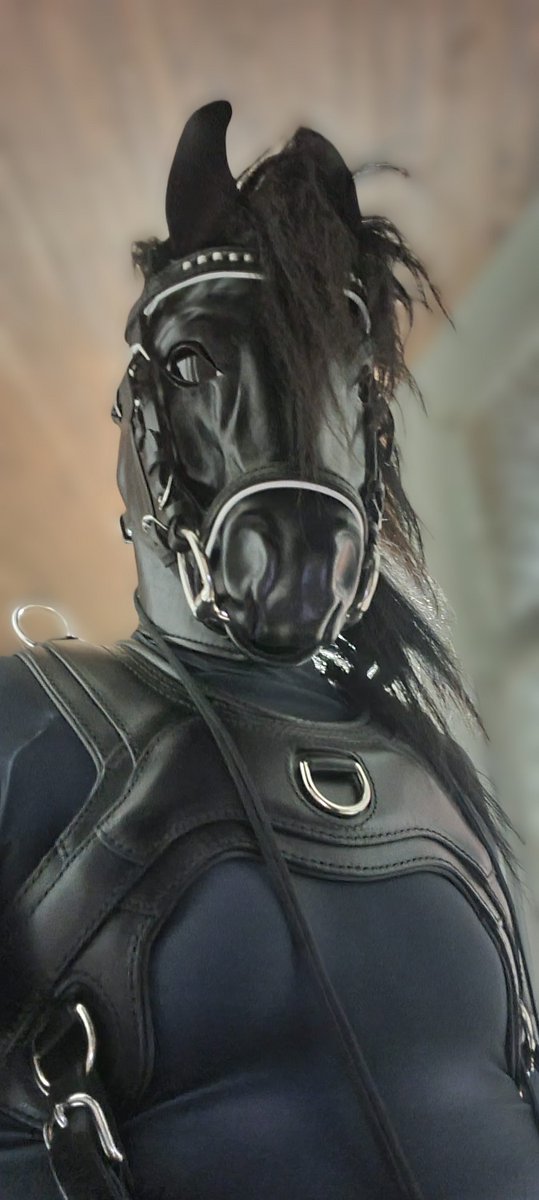 I will work with my backgrounds. Also, I need to brush my horse. Now it is straight from the box. Crushed a bit.