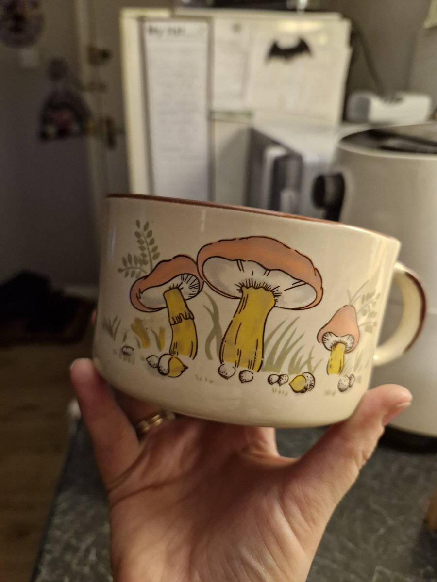 MortisIsland's tweet photo. 🍄 https://t.co/2Z10dXuF00
