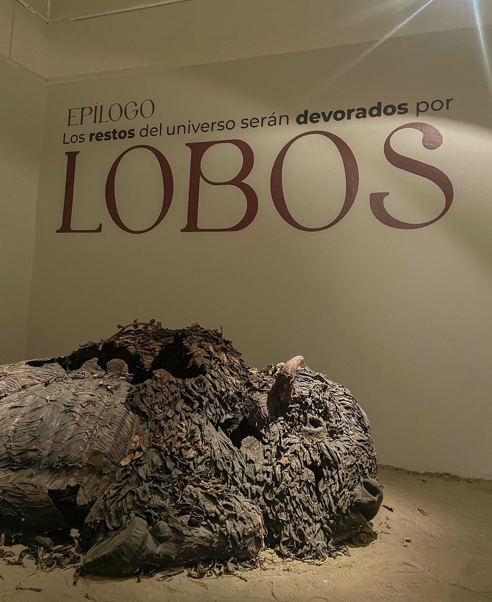 juliomenchaca_'s tweet photo. Les invito a todas y todos a conocer la excelente exposición “𝐌𝐚𝐫𝐞𝐚 𝐝𝐞 𝐋𝐨𝐛𝐨𝐬” del artista Ulises Figueroa, estoy seguro que les encantará. 🖼️ 

🎟¡La entrada es libre!

📍Cuartel del Arte
 Plaza Aniceto Ortega s/n Ex-Convento de San Francisco, Pachuca de Soto, Hidalgo.