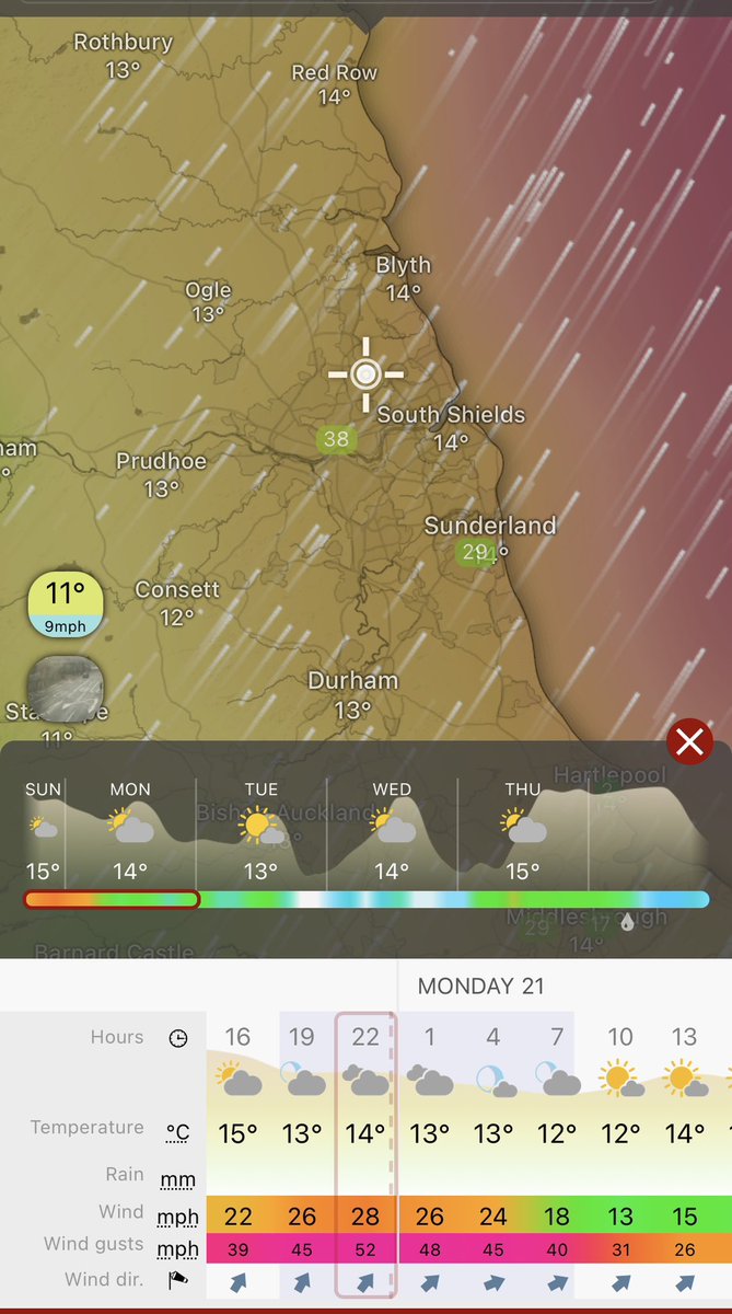 Kim Phillips  tweet media