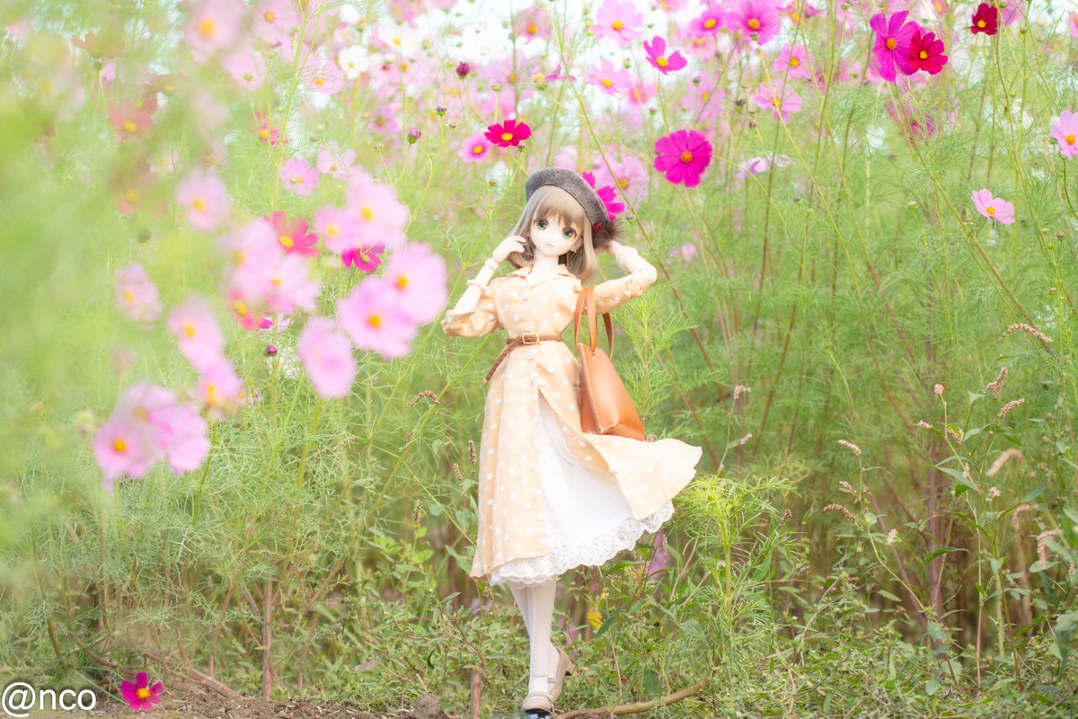 急に寒くなってお洋服選びが追い付かない汗
#moment_doll  #TOAClaris  #ちょこみん娘