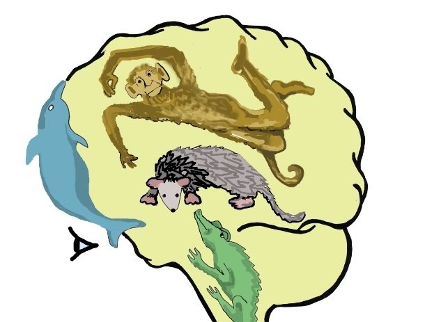 StreetGiraffe's tweet photo. Note the distinction of 'humanizing' via self-connection (a.k.a. hearing another's 'please' or valuing both sets of needs) v more rudimentary self-empathy ⤵️

From “Getting Empathy” to “Getting Support with Self-Connection” by Newt Bailey – BayNVC #NVCsSCP
https://t.co/kBgXtzJde1 https://t.co/IvdLKuXIm3