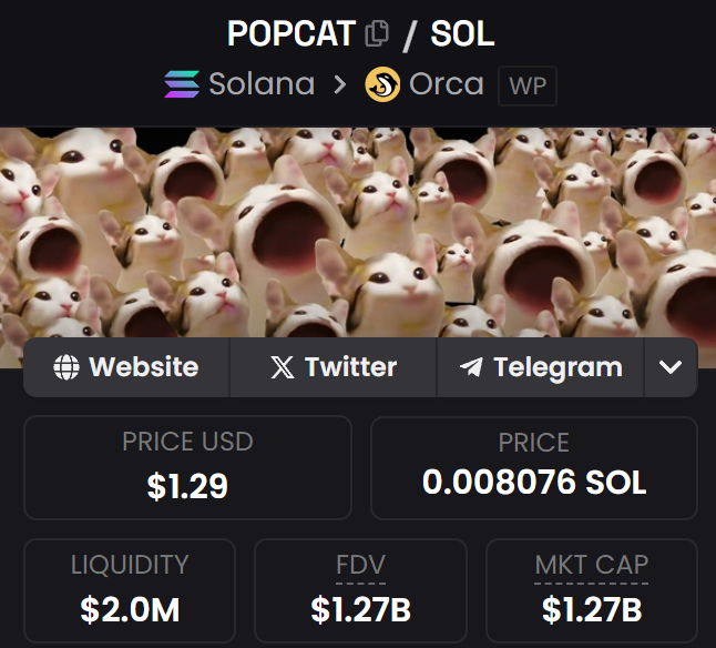 DeFiMidas's tweet photo. I mentioned $POPCAT 15+ here in public

I begged u to buy $POPCAT 1st time at $18M mc
I begged u to buy $POPCAT at $25M mc
I begged u to buy $POPCAT at $35M mc

Now $POPCAT sits at $1.3B: ~80x from my 1st call, so I hope u listened

I may have found the next 100x play(will send it to a few who like, rt, and reply)