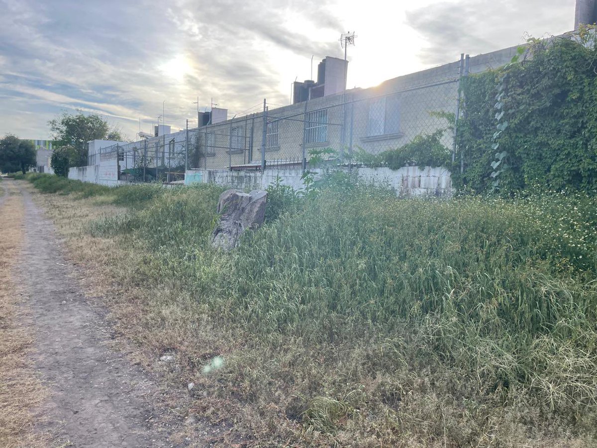 teltame's tweet photo. @MpioCorregidora Buenas tardes he reportado varias veces el crecimiento de la hierba que está creciendo en el canal que está atrás de la calle Villas Corregidora https://t.co/6FPRlmBKey