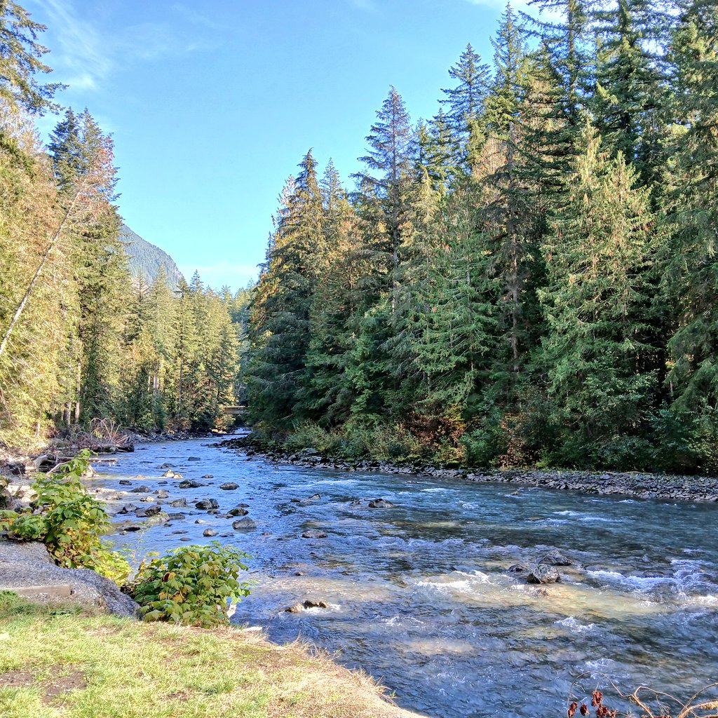 wineandhistory's tweet photo. Had a #SundayFunday girls day last weekend; we checked out Nooksack Falls and Horseshoe Bend. The weather was beautiful and the company was lovely! #girlsday #countrydrive #fall #friends https://t.co/YIGGCtDpC4