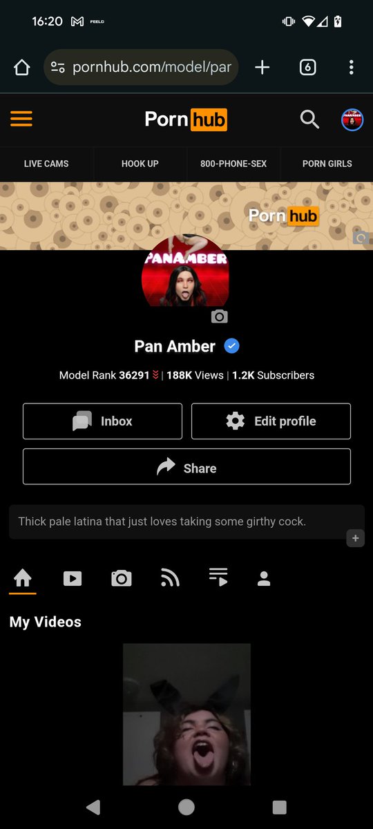 Content from panamber