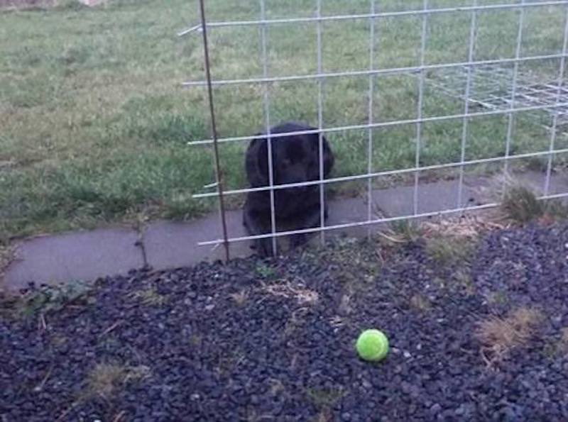 Focus too much on the problem and you might miss the easy solution.