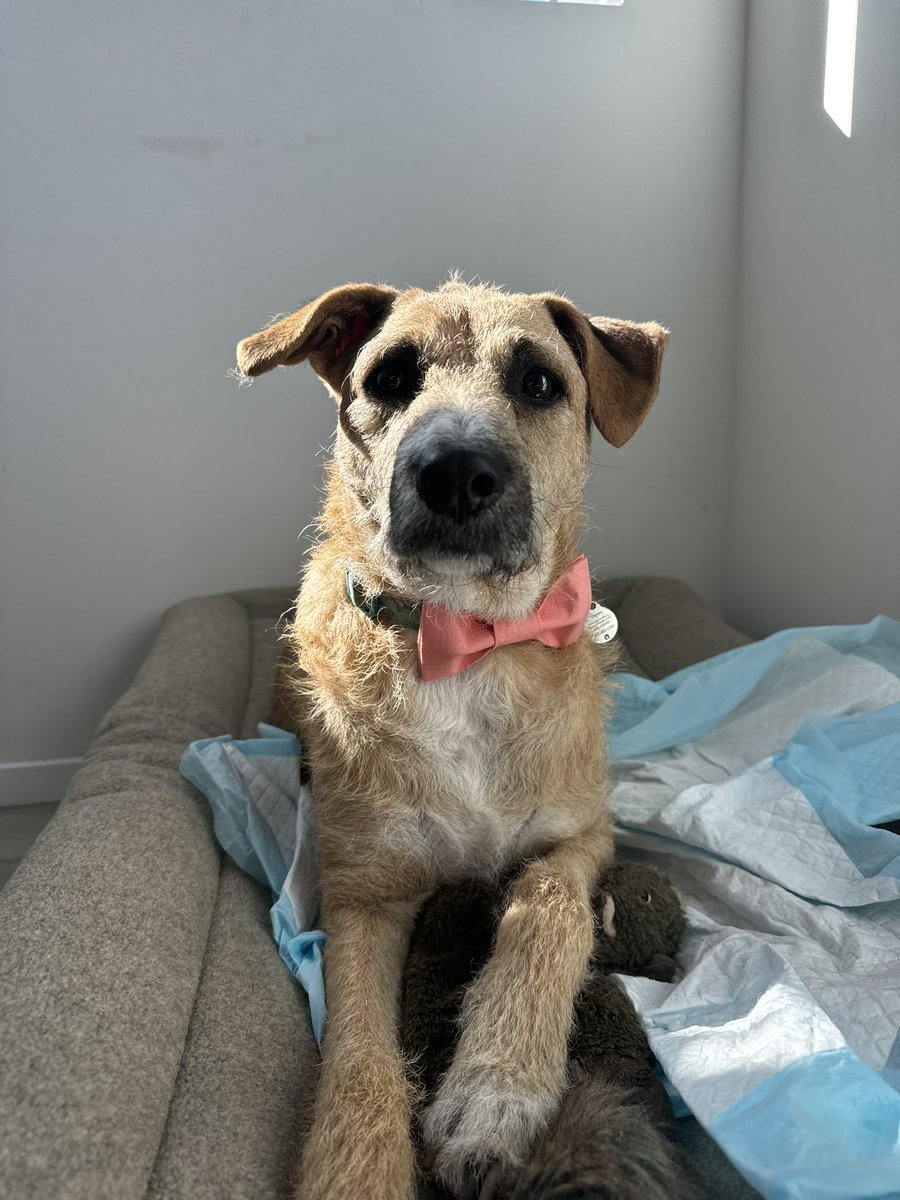 Hunny got invited to a wedding today and wants to know if it’s OK to outshine the bride pls send advice