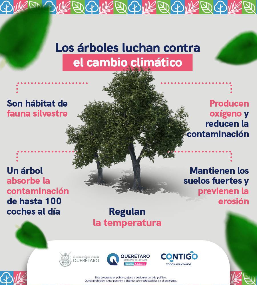 ¿Sabías todo esto sobre los árboles? 🌳 Son de nuestros mejores aliados para combatir el cambio climático, purifican el aire y protegen los ecosistemas. ¡Cuidémoslos y seamos #Qrotectores!