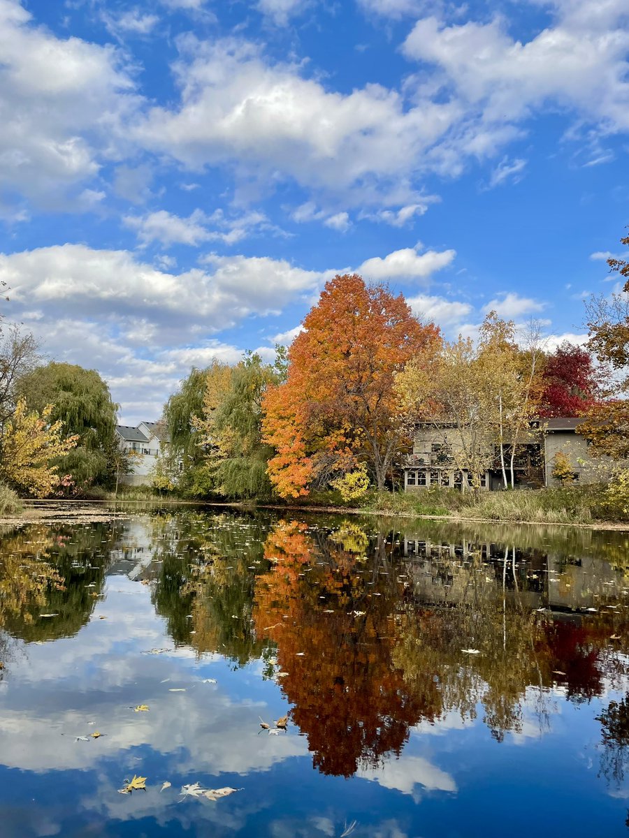 kenubus's tweet photo. Jen finished fixing the canoe so we went out to explore of horseshoe pond behind the house. Got a wonderful shot of this maple tree! https://t.co/ahvEKxSNqk