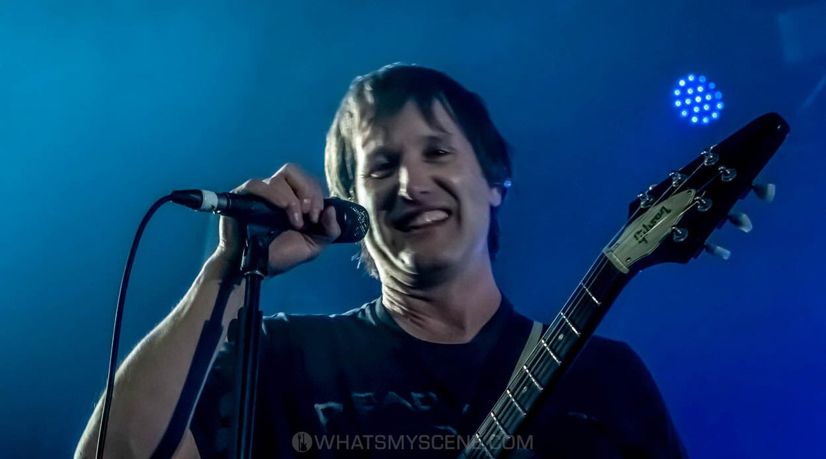 What's My Scene tweet media