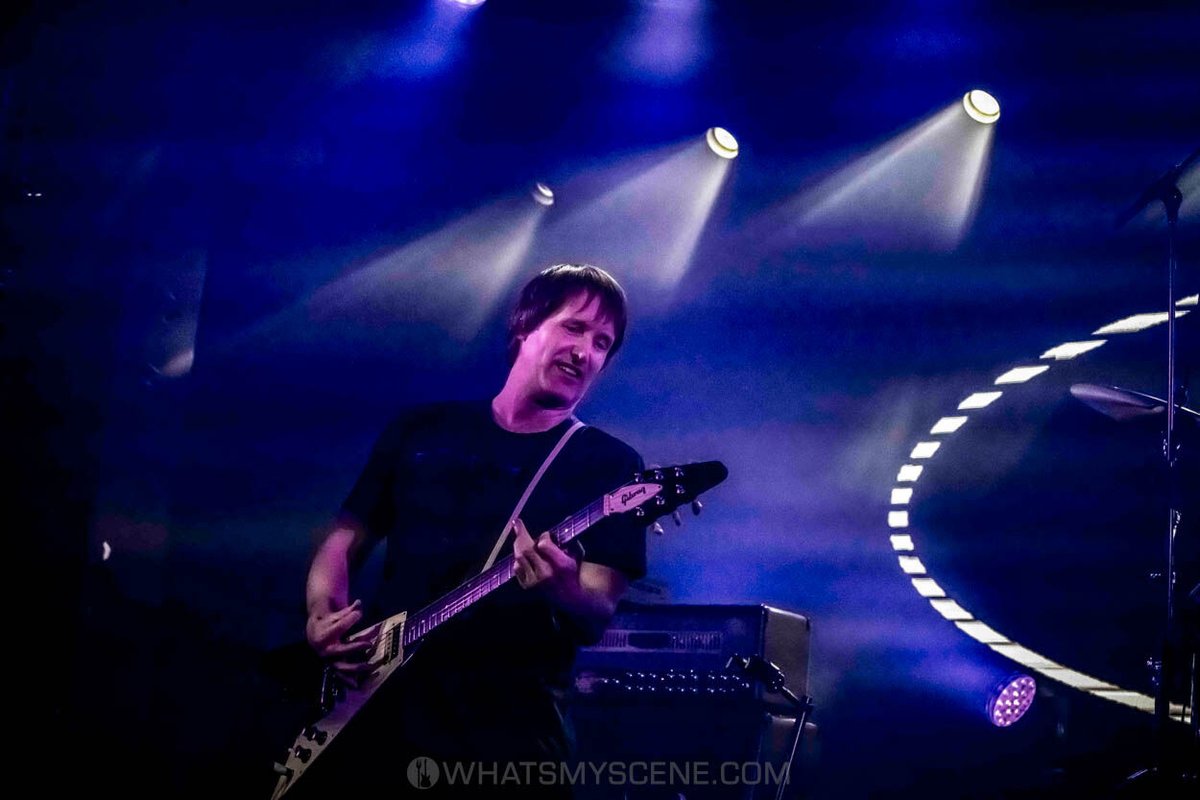 What's My Scene tweet media