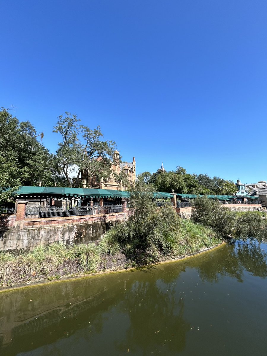 Ashley Suit tweet media