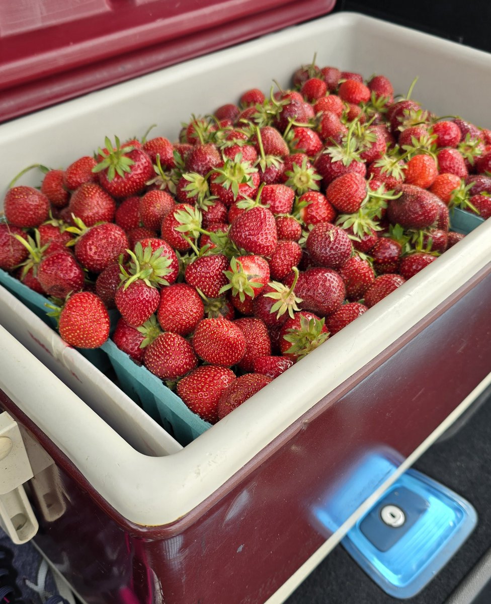 The Food and Drink Guy tweet media