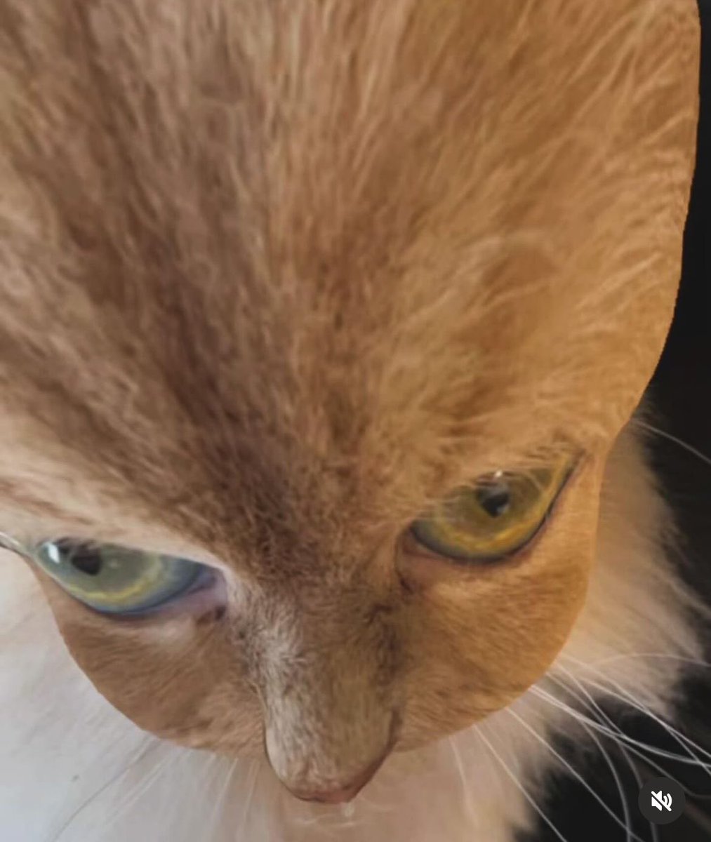 Gonna be live for league in about 20 min 🎳🔥