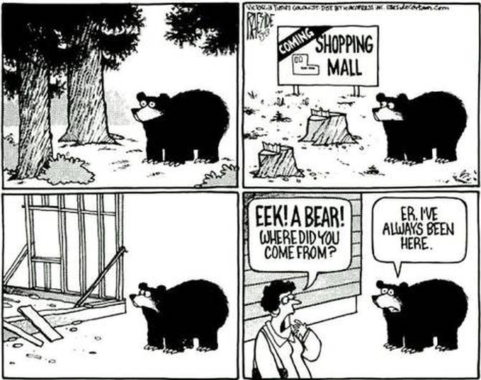Where did you come from. . .?