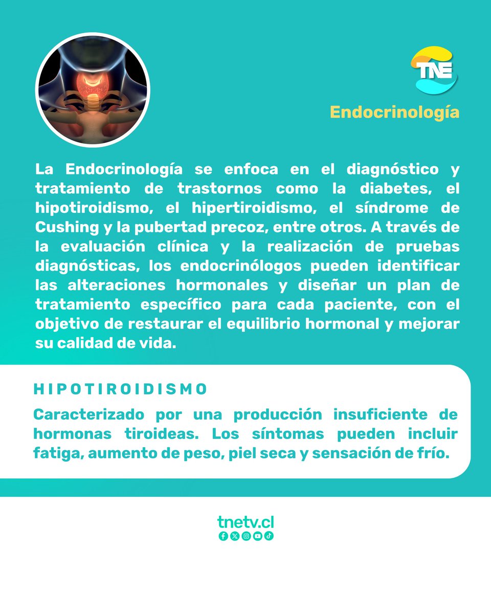 TNEtelevision's tweet photo. #Salud | 👤 | Endocrinología 

🗣️ ¿Quieres conocer más? Contacta a @clinicamerced 📲 | WhatsApp: +56 9 5811 6731 | Dirección: Avda. Condell 1015, Providencia – Santiago de Chile

#tnetv #salud #endocrinología #clinicamerced https://t.co/d1dcvjqPh1