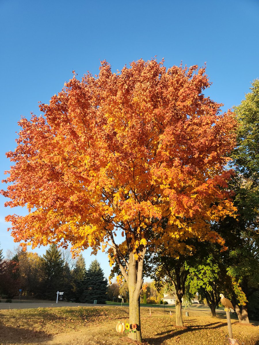 Dave Helke tweet media