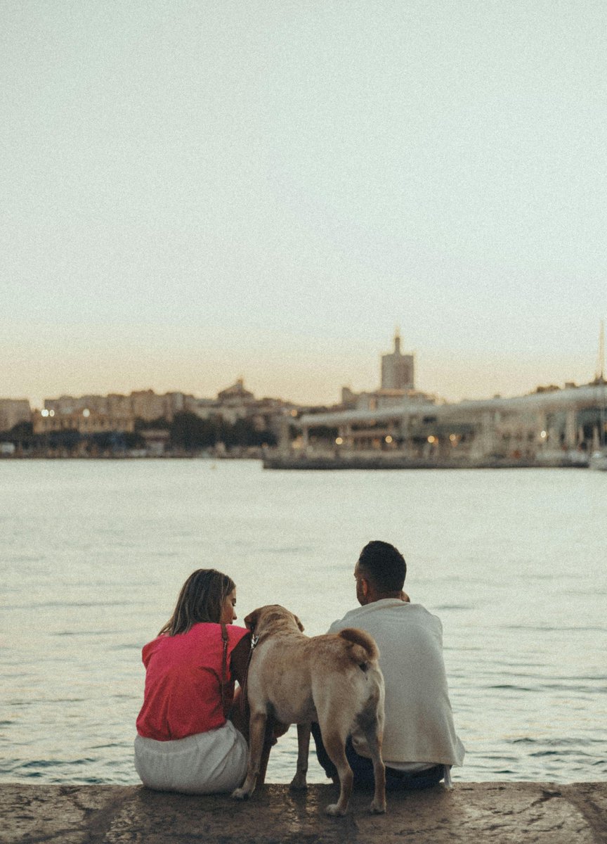 Nick O'Brien tweet media