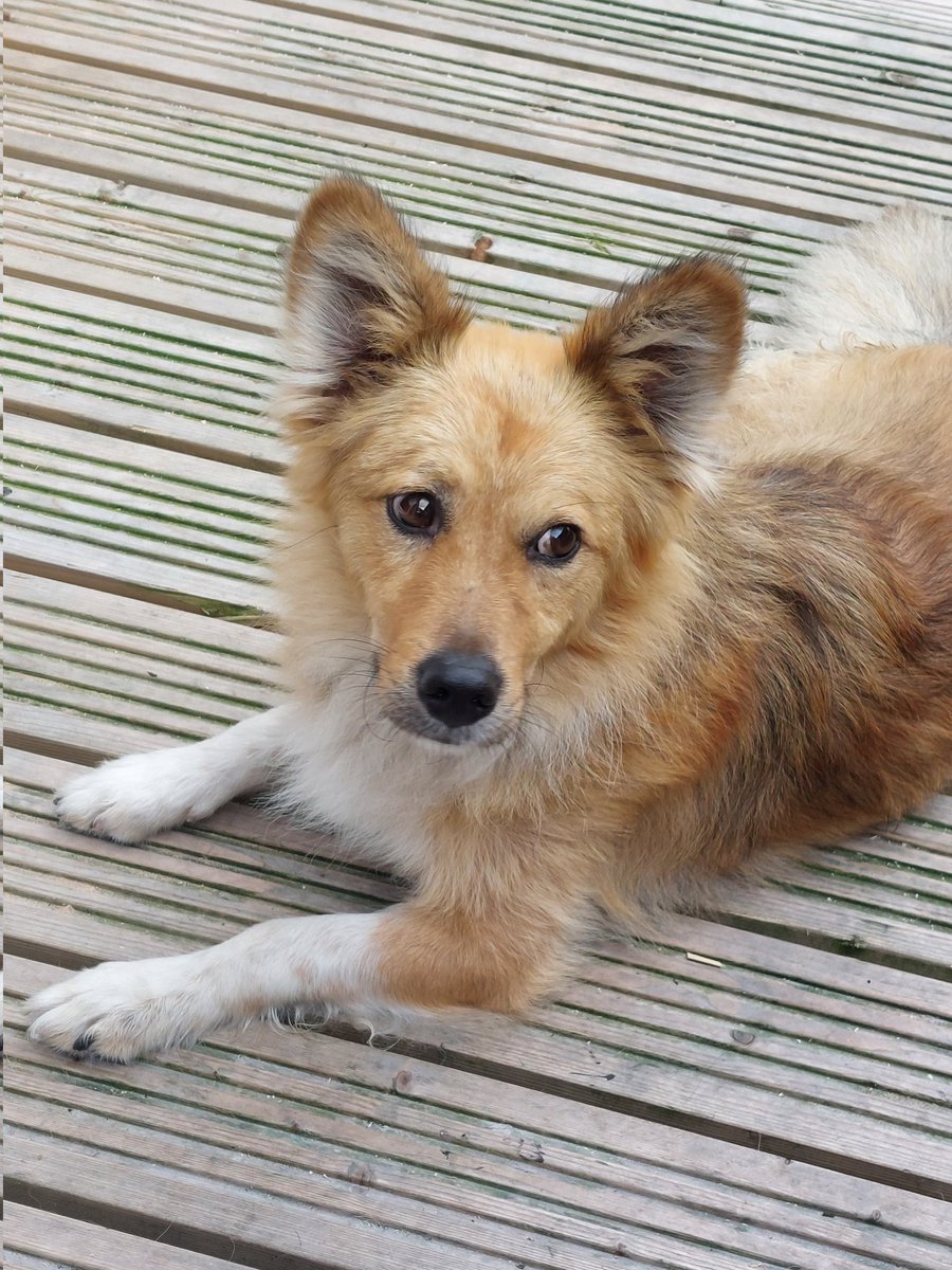 Victoria De-la-mere tweet media