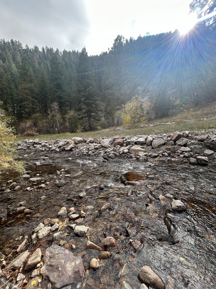 David Foley tweet media