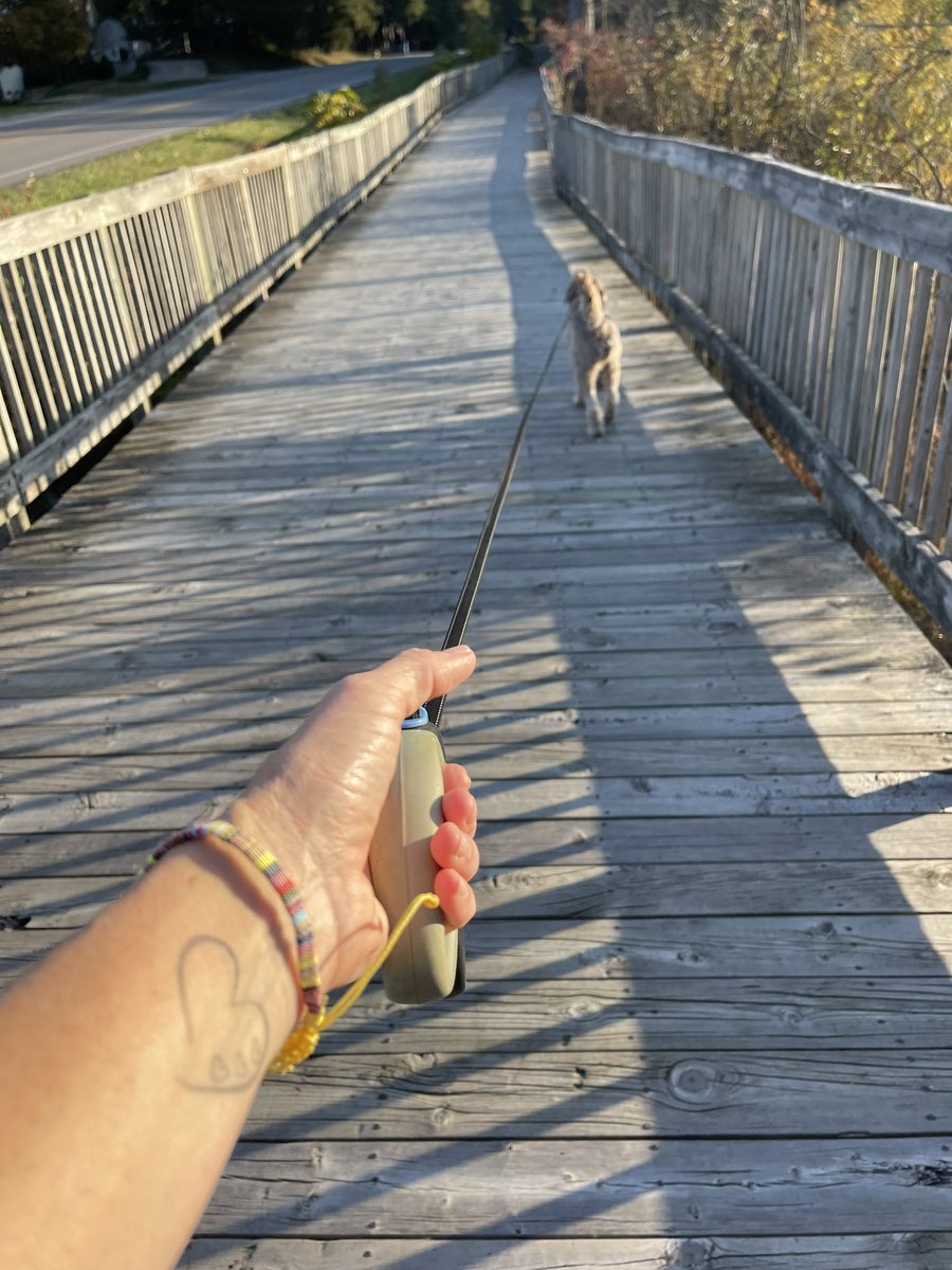 karrie_joy's tweet photo. Late Sunday miles, now laundry and Star Wars with Tucker 🏃🏻♀️🐕💪🏻🤓🤣
#nerdpup
#boringisgood
#myfavorite
#chooseyou
#choosehappy https://t.co/FyDoF7bvku