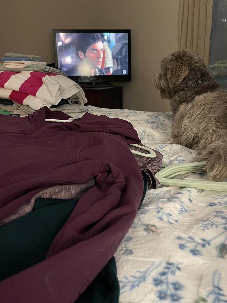 karrie_joy's tweet photo. Late Sunday miles, now laundry and Star Wars with Tucker 🏃🏻♀️🐕💪🏻🤓🤣
#nerdpup
#boringisgood
#myfavorite
#chooseyou
#choosehappy https://t.co/FyDoF7bvku