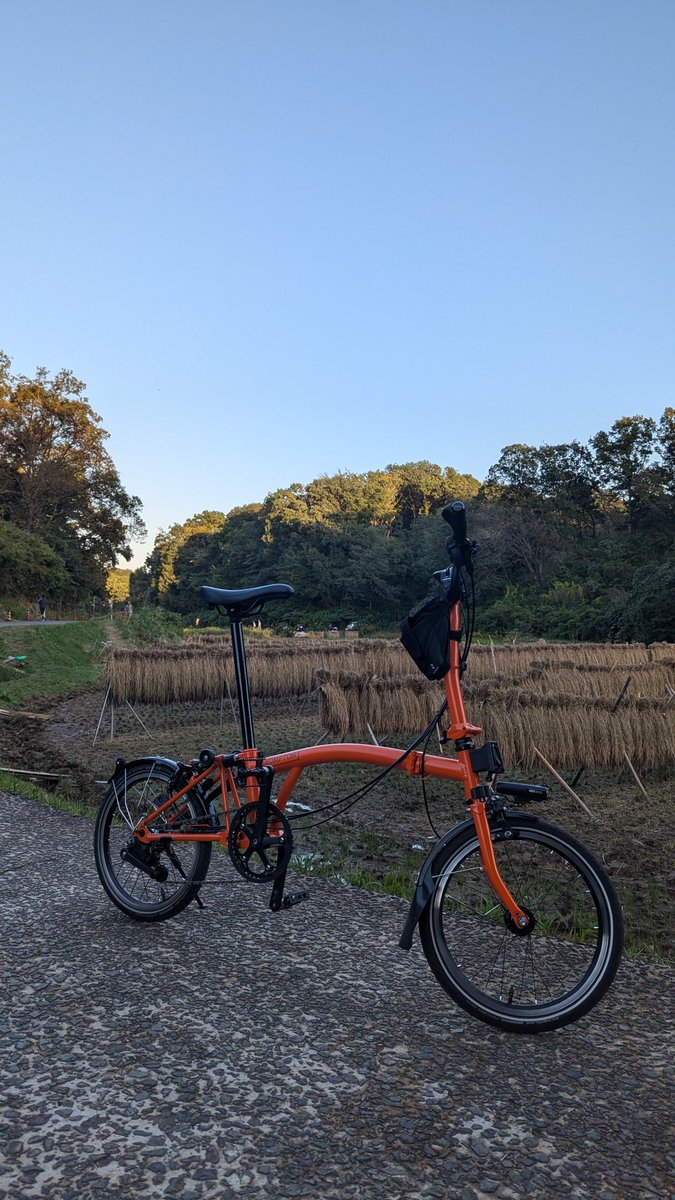 Daichi45478602's tweet photo. もうすっかり秋ですね。 https://t.co/HywyG5Tpo0