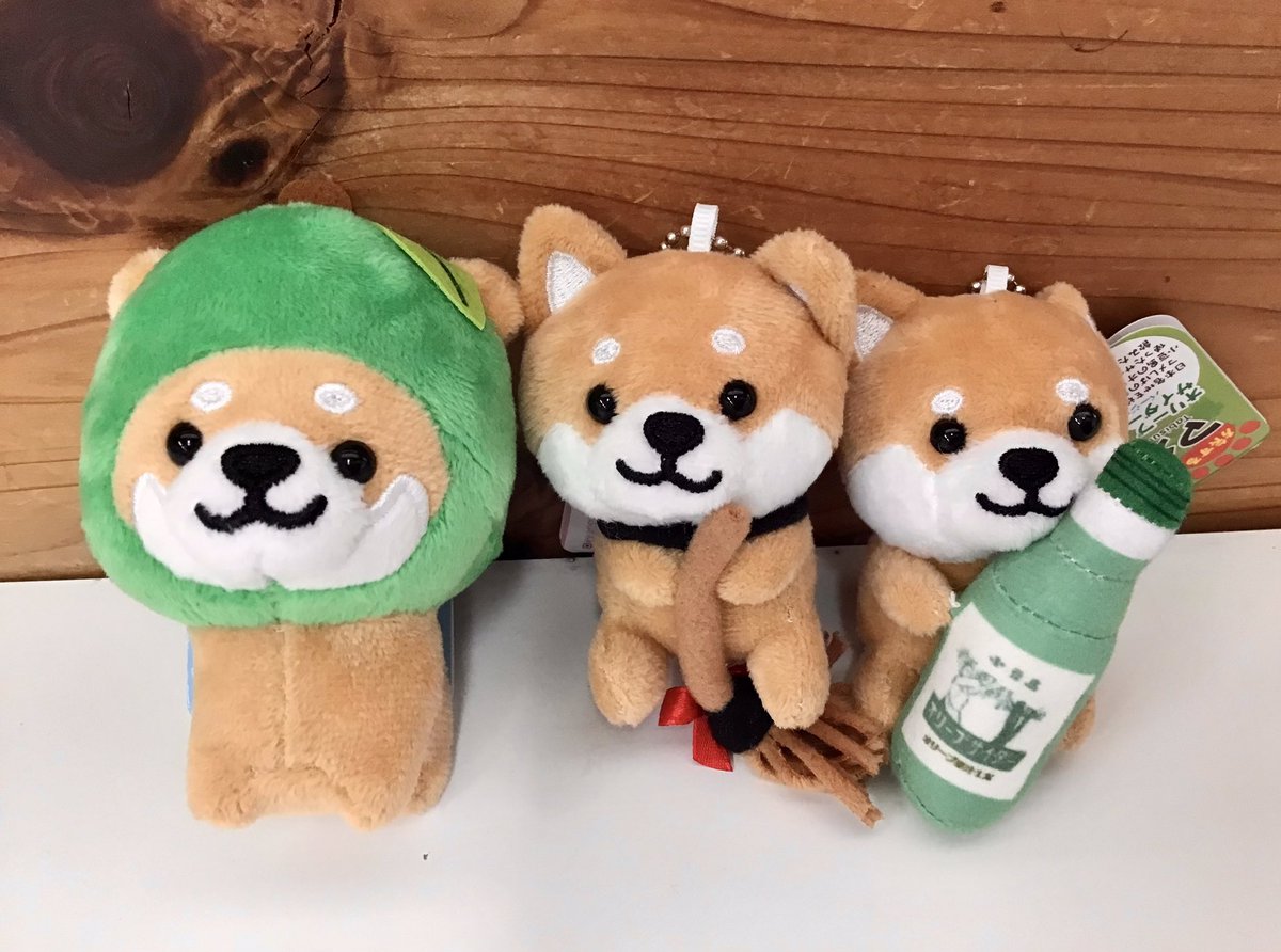 キーホルダーの新商品が入りました🌟 他にも売店では人気のオリーブ