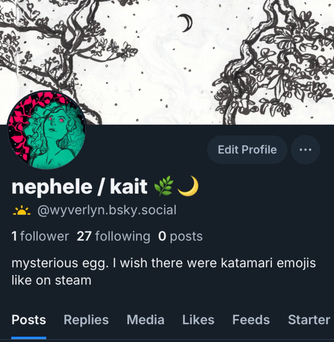 rubyweap0n's tweet image. made a bluesky if anyone else has also been seeking new shores