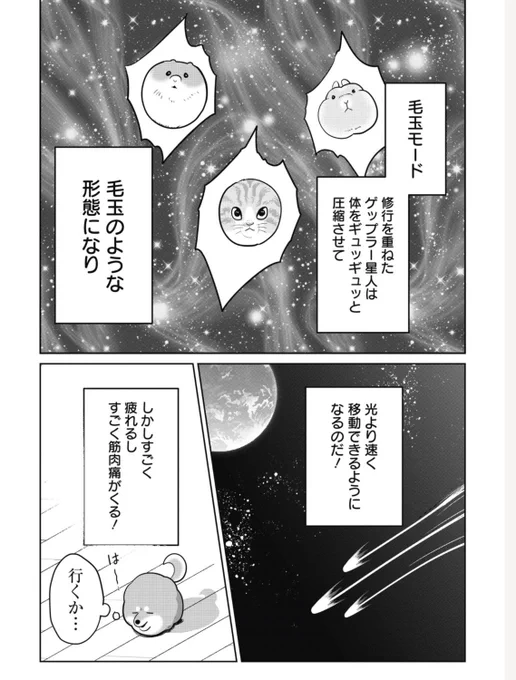 飼い主の留守中に実家に帰る柴犬(2/3) 